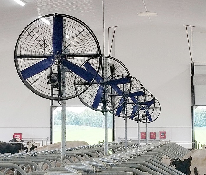 A series of Canarm AgSystems Circulation Fans in a barn